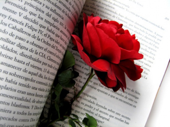 Doświadczony REDAKTOR i GHOSTWRITER